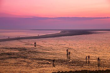 Wattenmeer